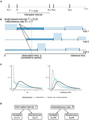 Variability and Randomness of the Instantaneous Firing Rate